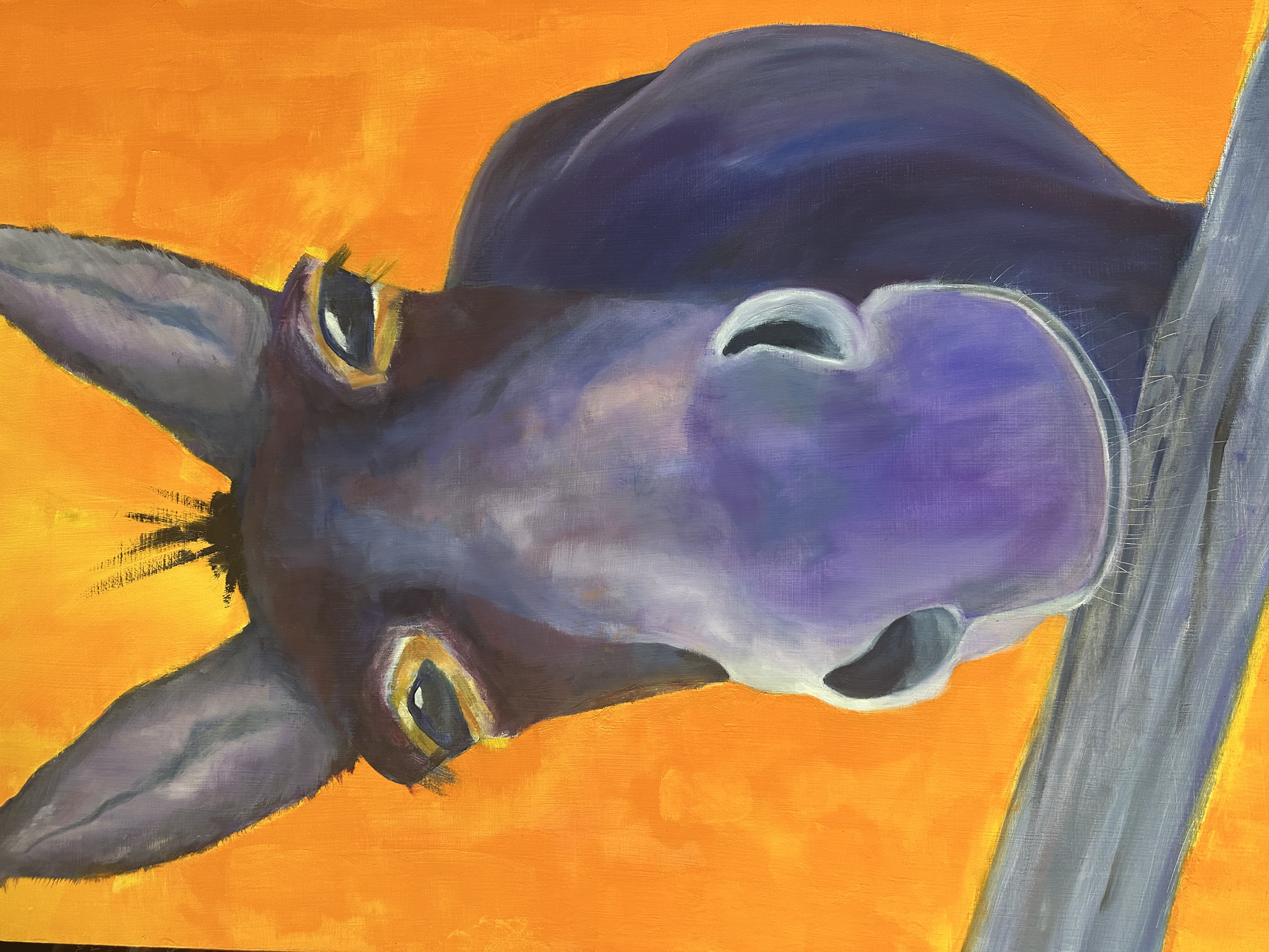 Burro Portrait Commission