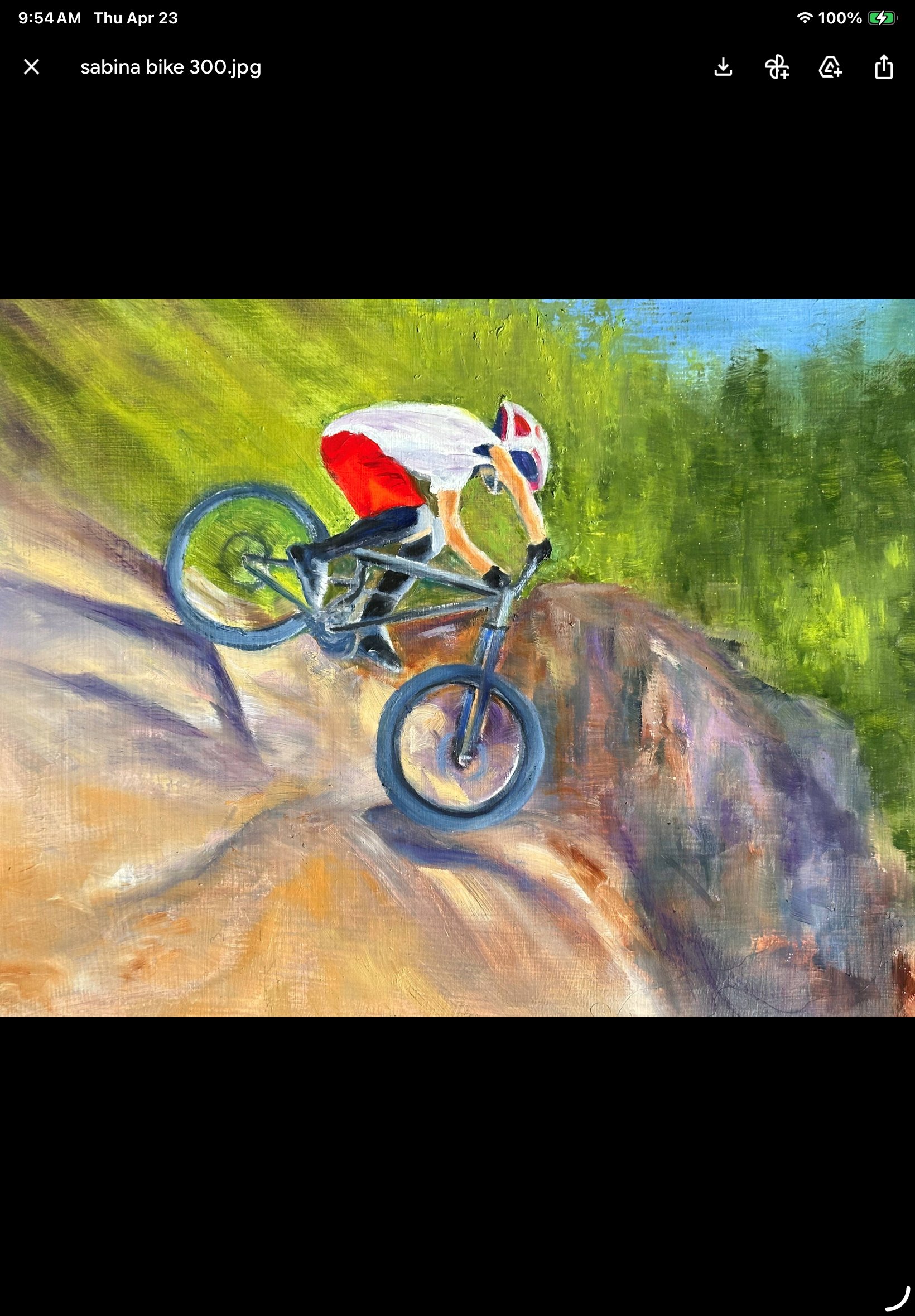 Mountain Biker on Rocks