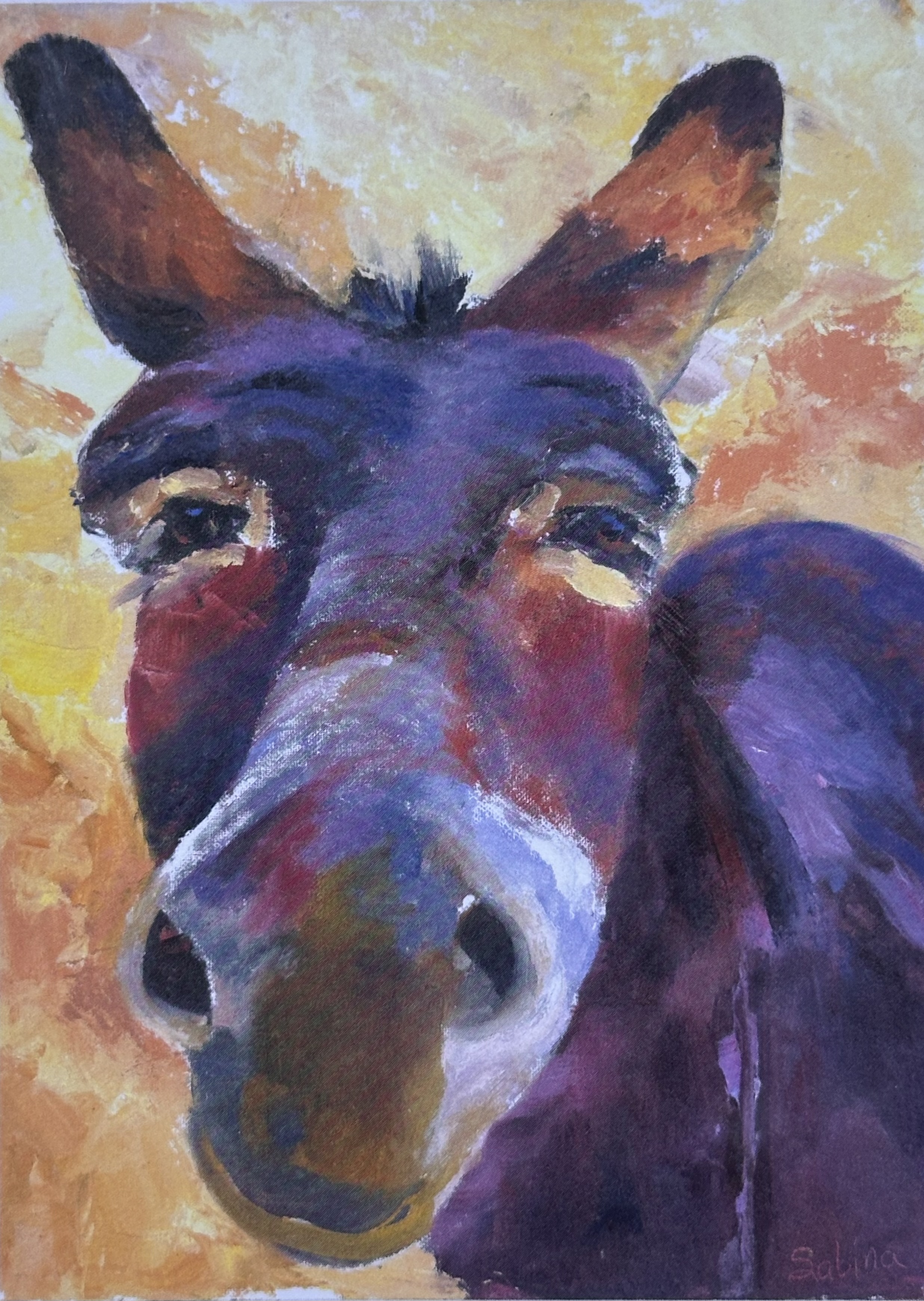 Burro Portrait