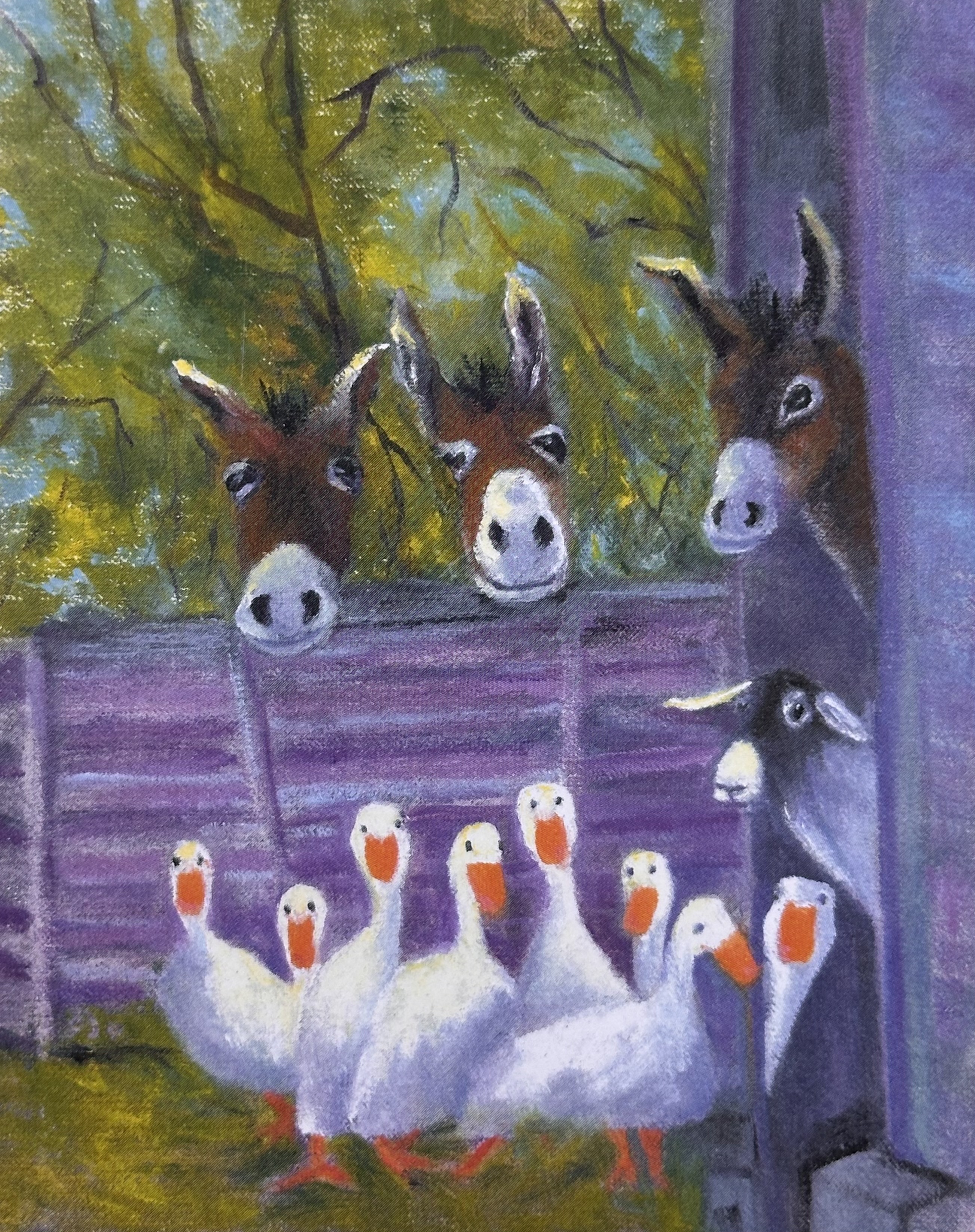 Donkeys and Geese