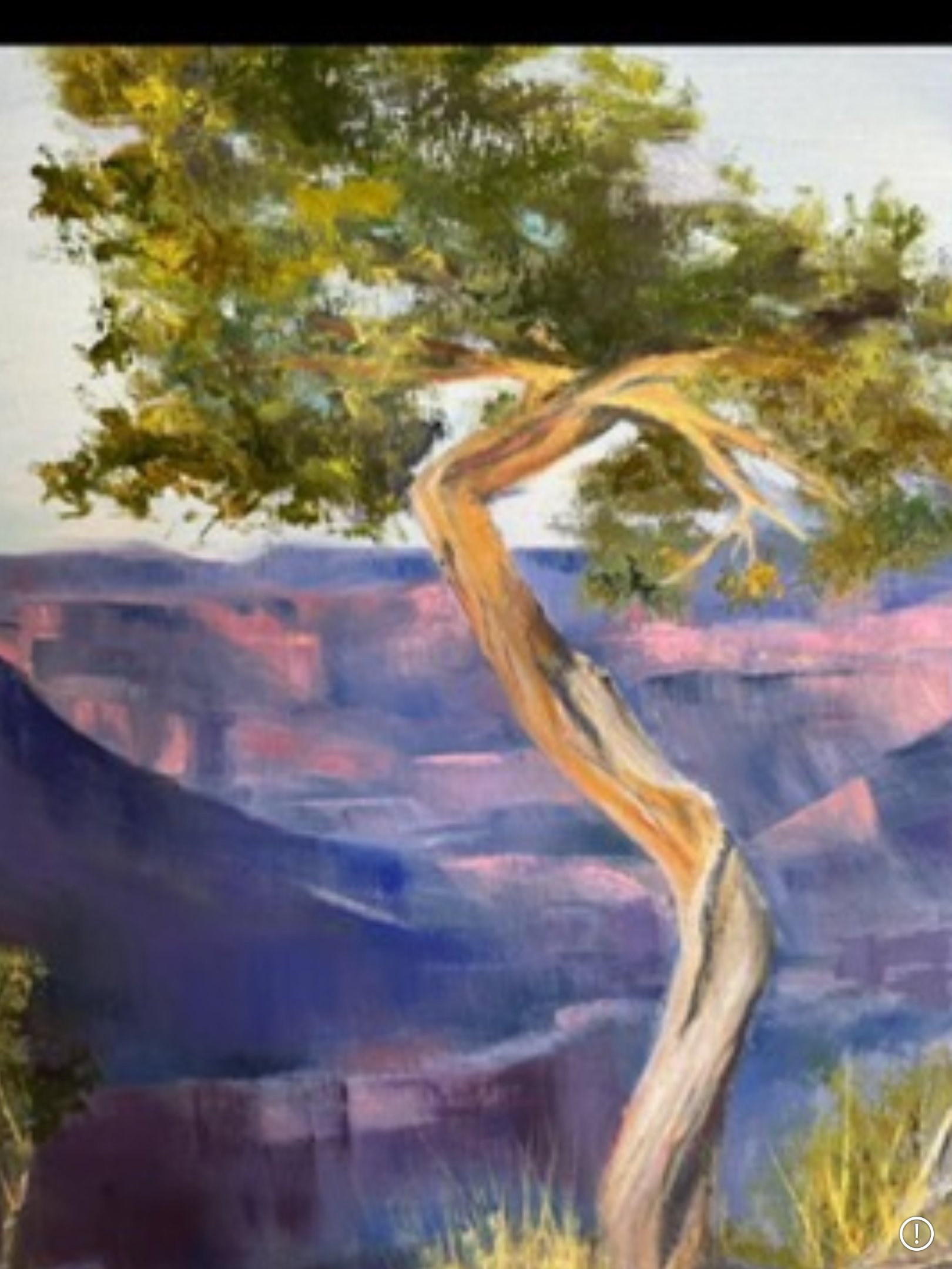 Canyon Tree