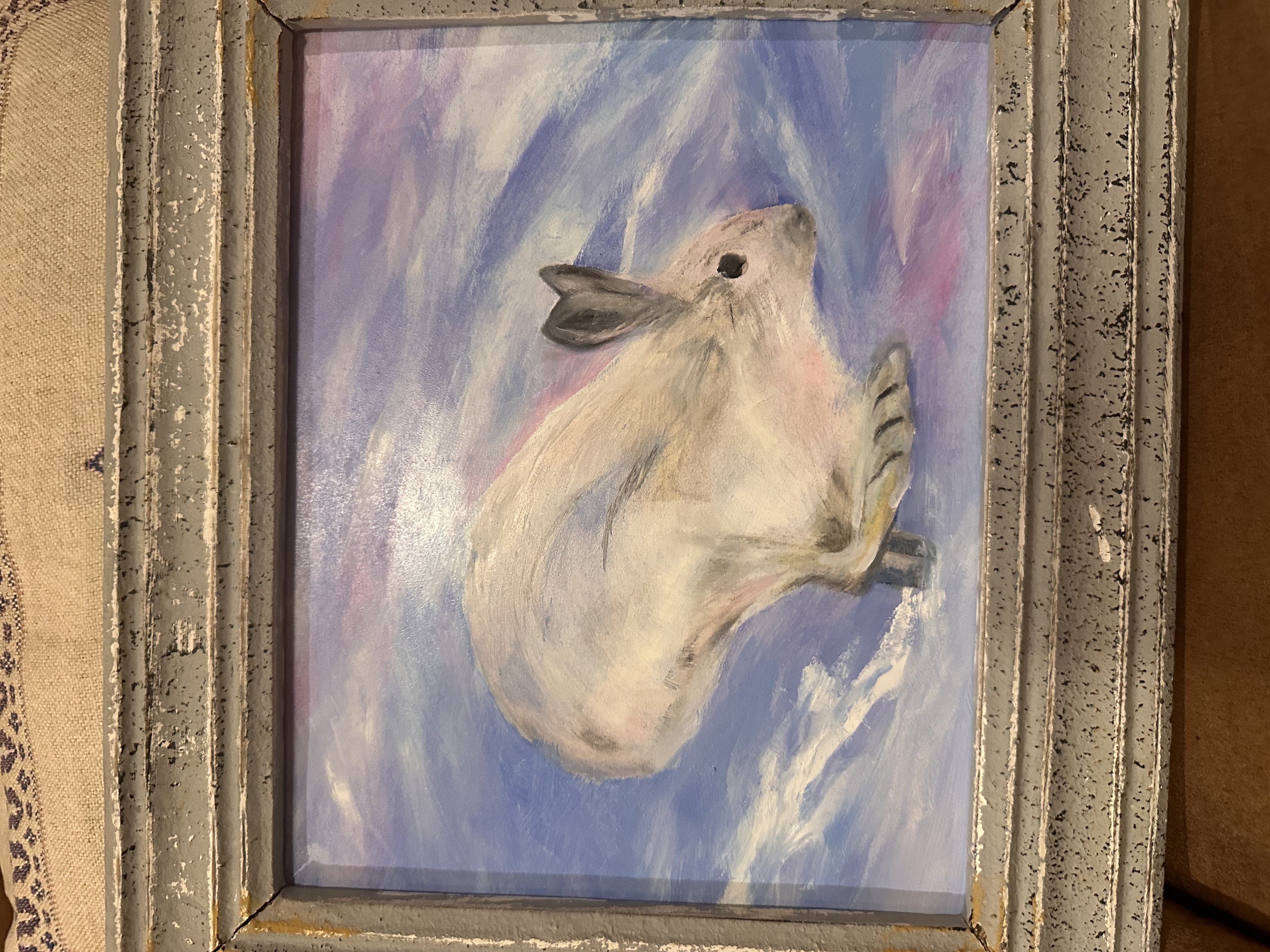 Snowshoe Hare