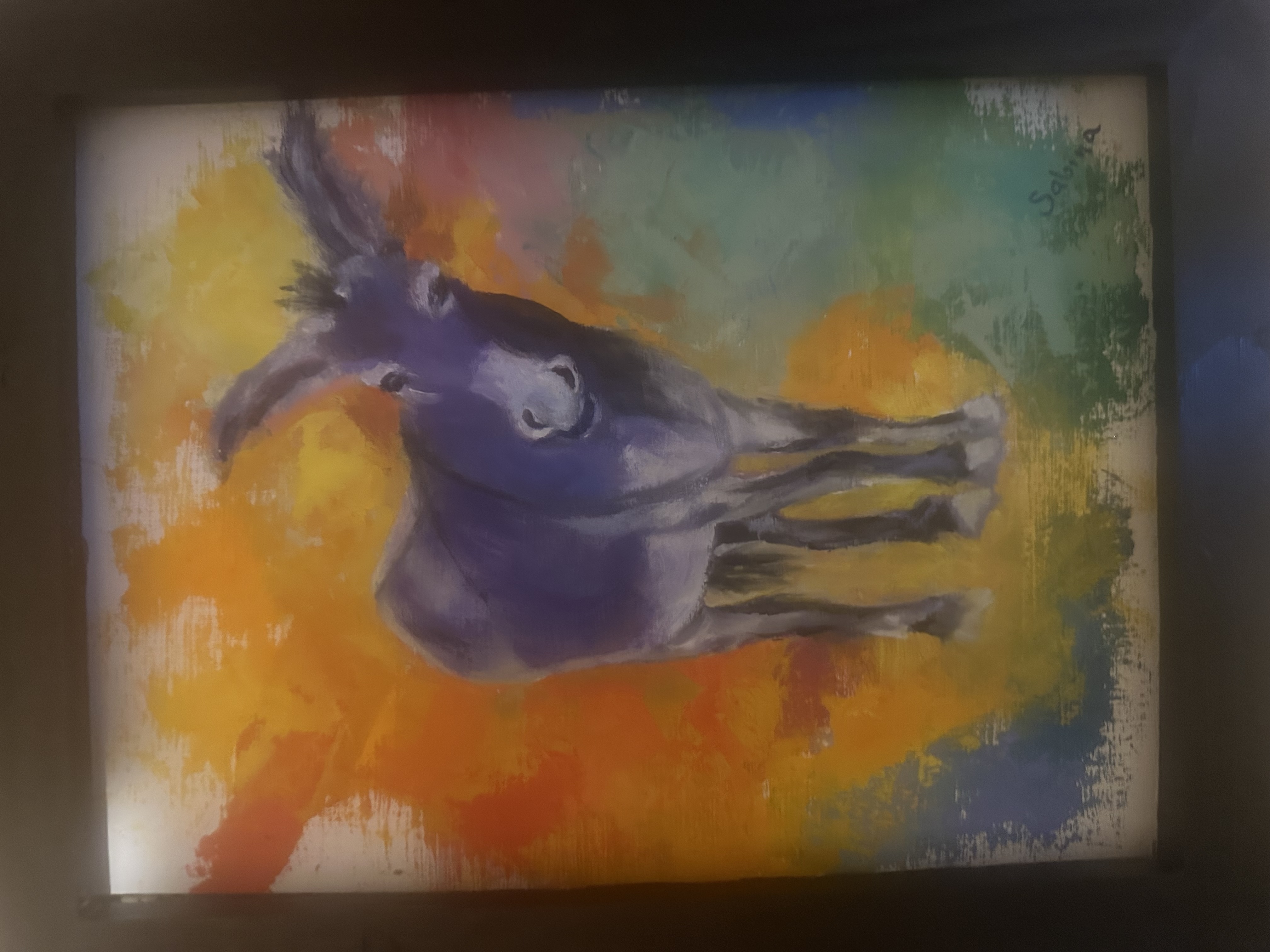 Spirit Burro