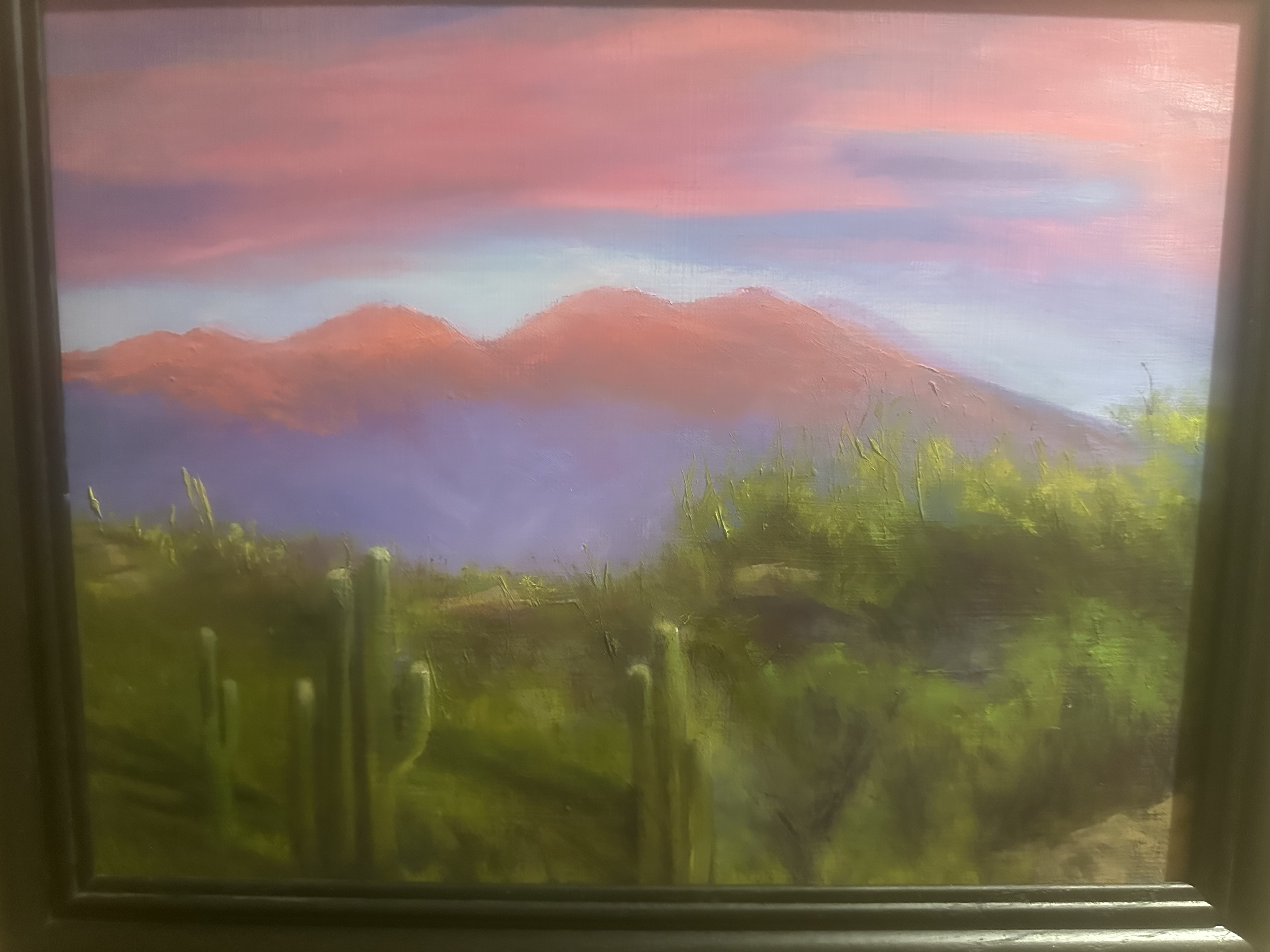Saguaro Sunset