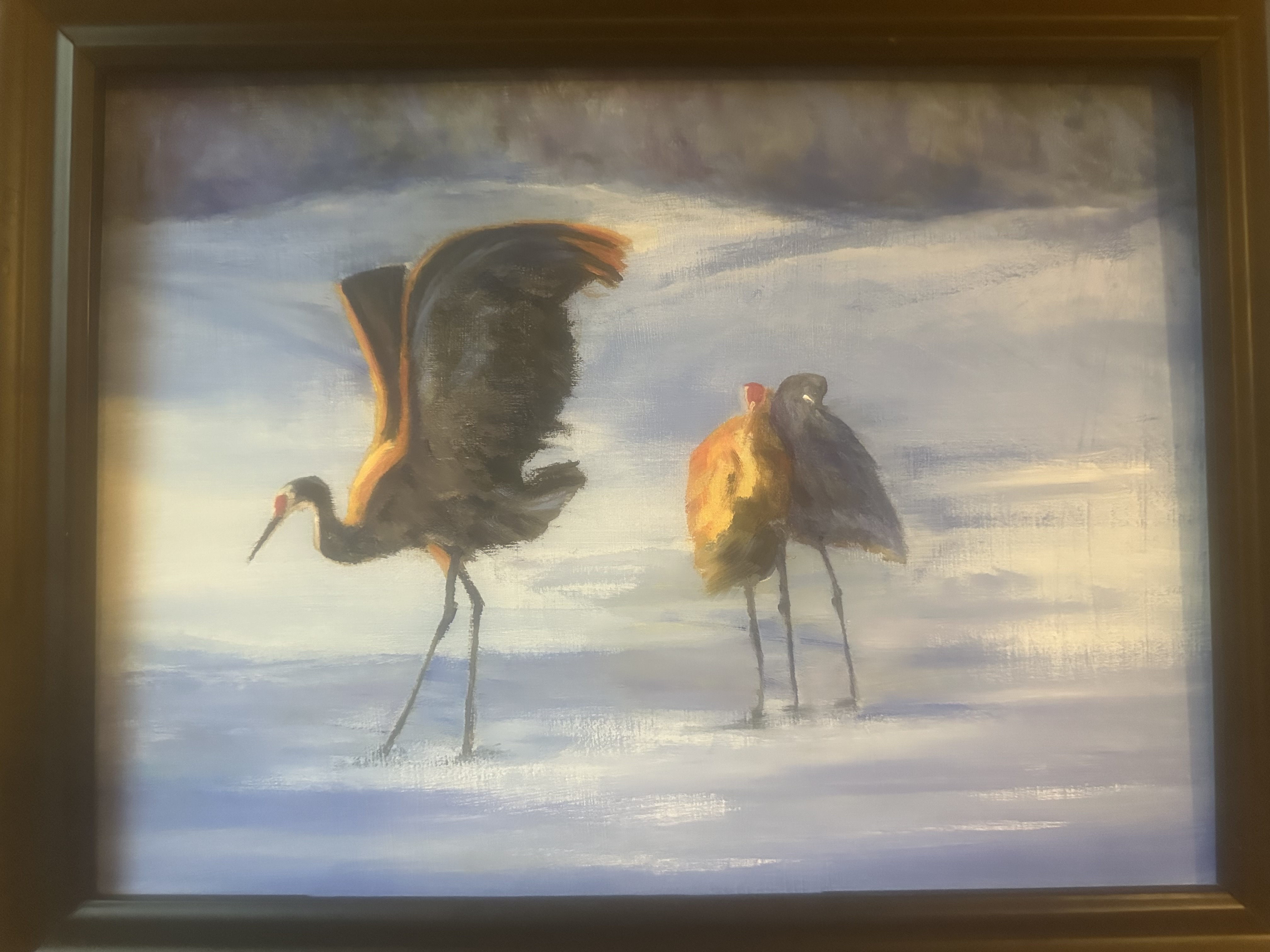 Sandhill Cranes