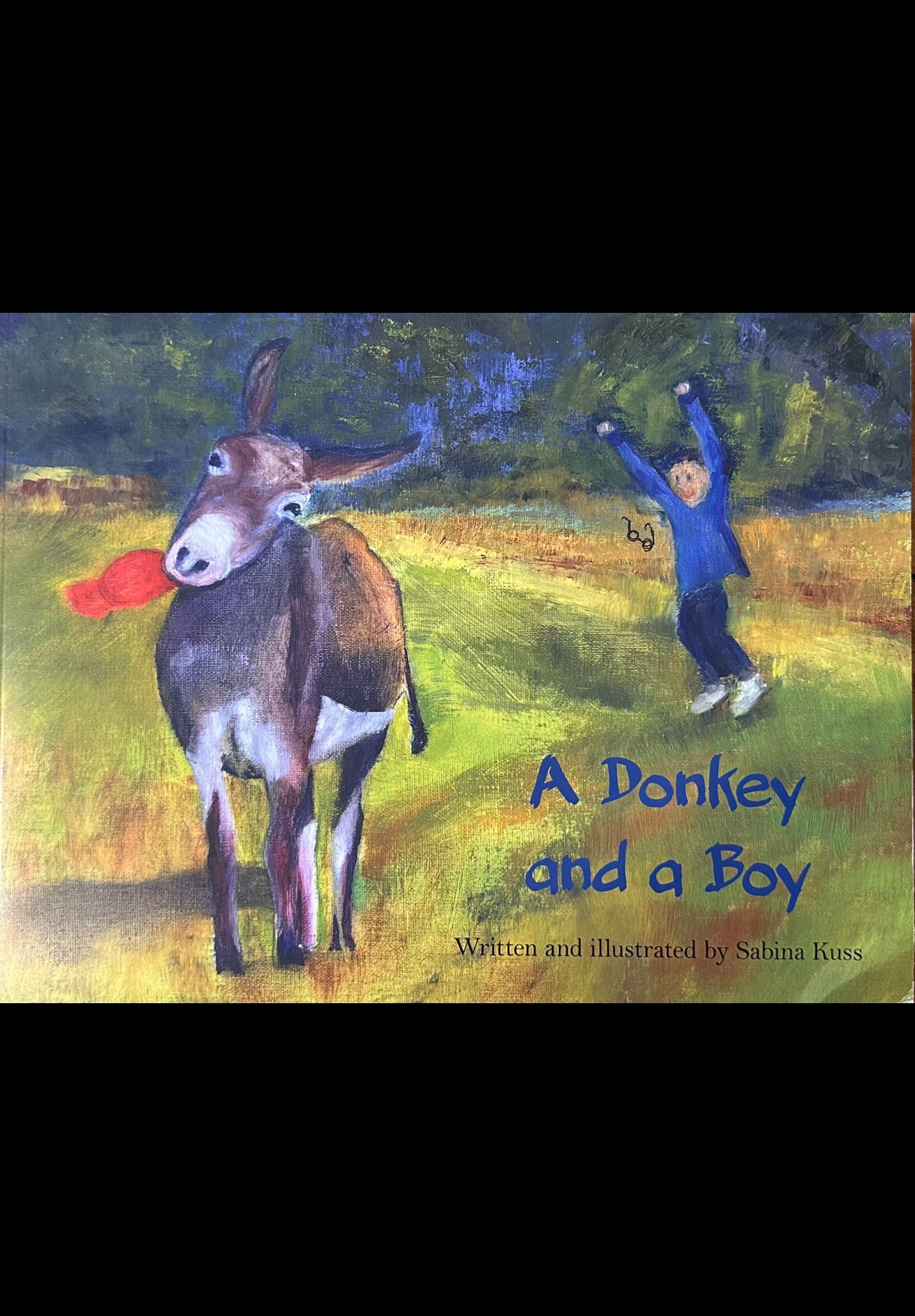 A Donkey and a Boy book cover
